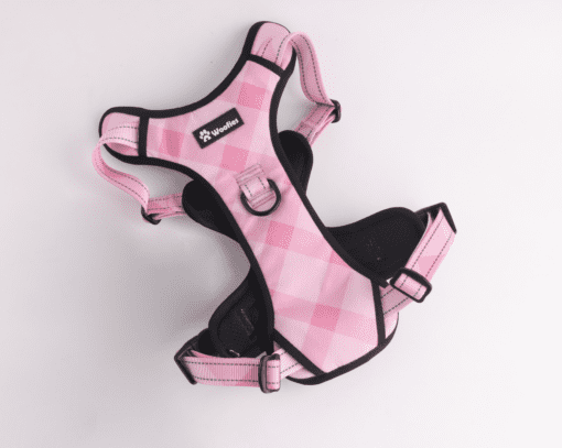 Adventure Harness Pink