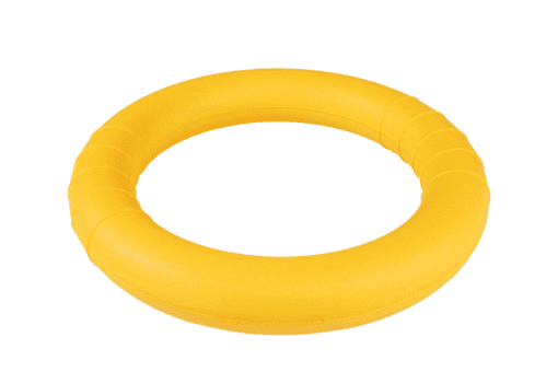 RingToy2